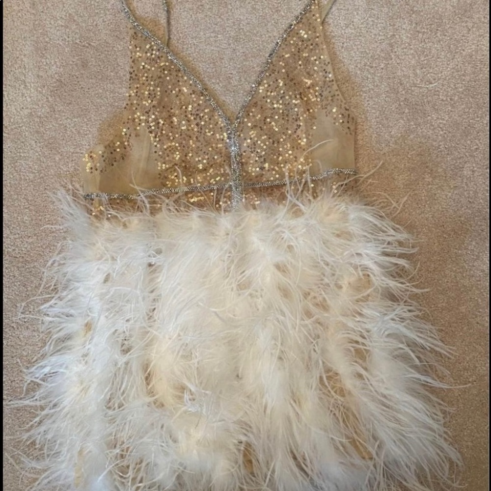 Sequins and ostrich feather dress